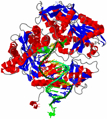 Image Asym./Biol. Unit