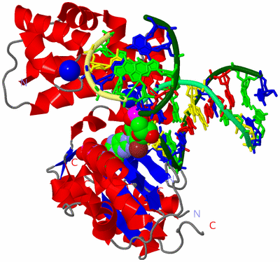 Image Asym./Biol. Unit