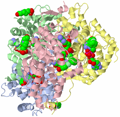 Image Asym./Biol. Unit