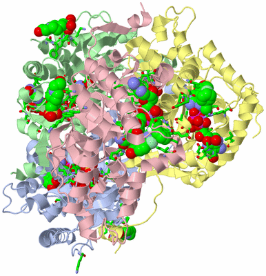 Image Asym./Biol. Unit - sites