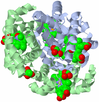 Image Biological Unit 1