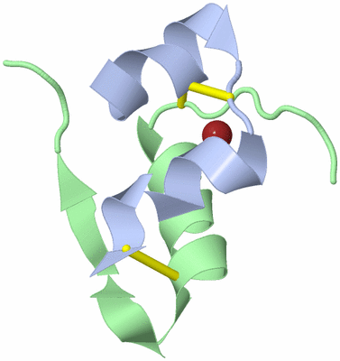 Image Biological Unit 1