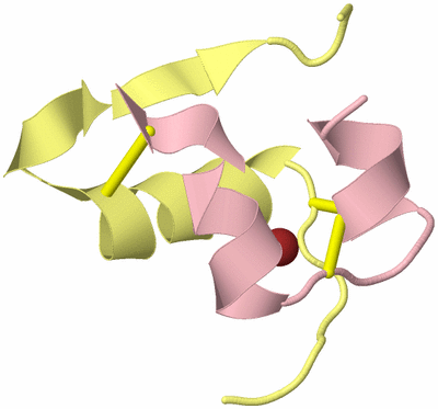 Image Biological Unit 2