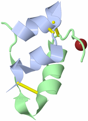 Image Biological Unit 1