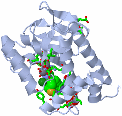 Image Biol. Unit 1 - sites