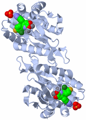 Image Biological Unit 2