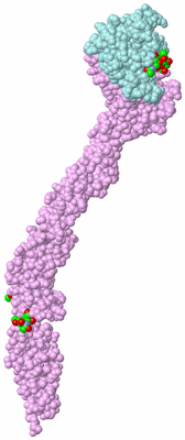 Image Biological Unit 3