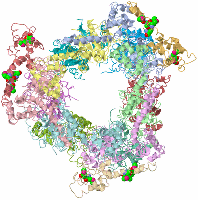 Image Asym./Biol. Unit