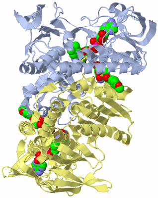 Image Biological Unit 1