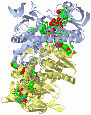 Image Biol. Unit 1 - sites