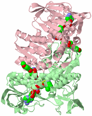 Image Biological Unit 2