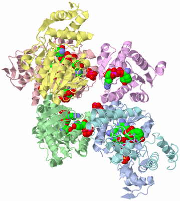 Image Asym./Biol. Unit