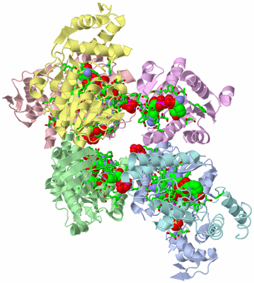 Image Asym./Biol. Unit - sites