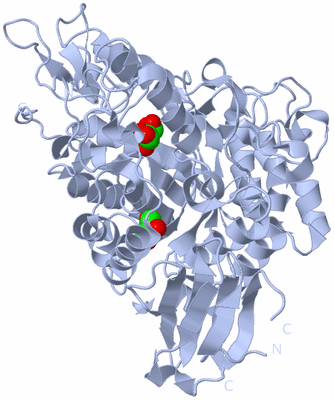 Image Biological Unit 1