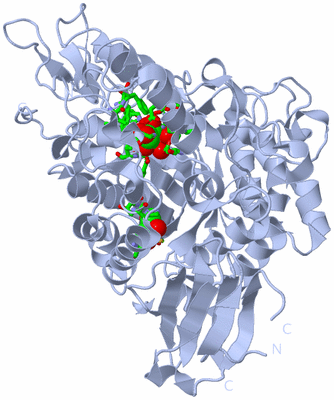 Image Biol. Unit 1 - sites