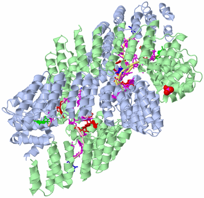 Image Asym./Biol. Unit