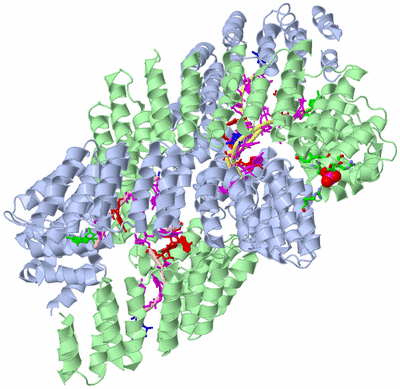 Image Asym./Biol. Unit - sites