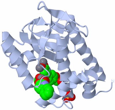 Image Biological Unit 1