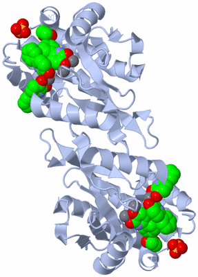 Image Biological Unit 2