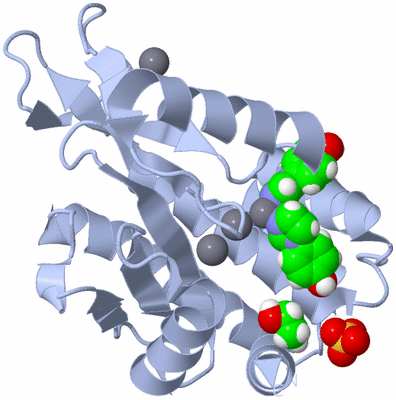 Image Biological Unit 1