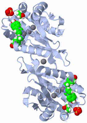 Image Biological Unit 2