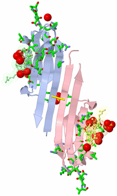 Image Biol. Unit 1 - sites