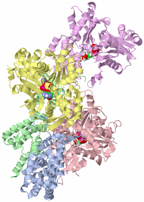 Image Asym./Biol. Unit