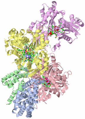 Image Asym./Biol. Unit - sites