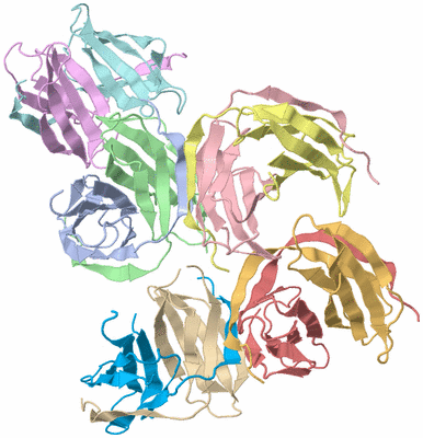 Image Asymmetric Unit