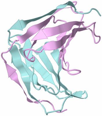 Image Biological Unit 3