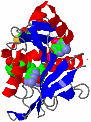 Image Asym./Biol. Unit