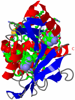 Image Asym./Biol. Unit - sites