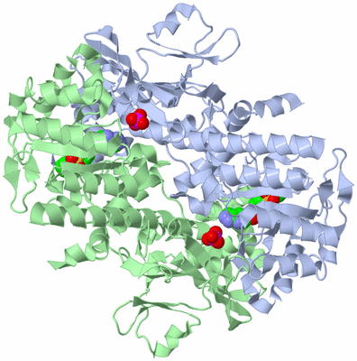 Image Asym./Biol. Unit