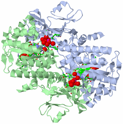 Image Asym./Biol. Unit - sites