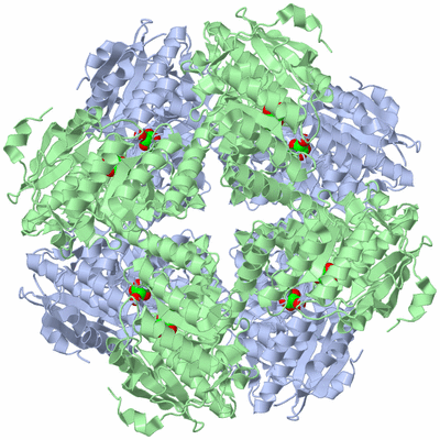 Image Biological Unit 1