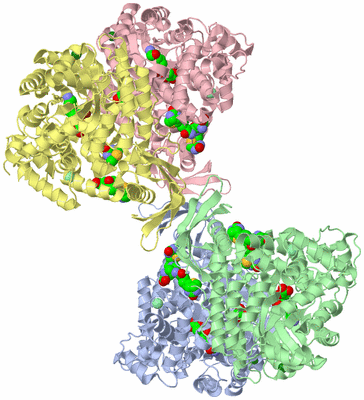 Image Asym./Biol. Unit