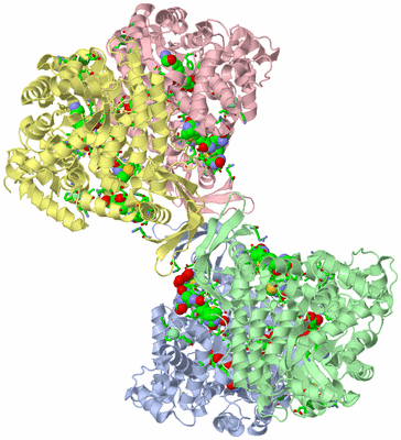 Image Asym./Biol. Unit - sites