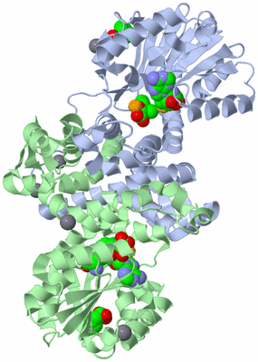 Image Asym./Biol. Unit