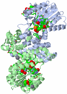 Image Asym./Biol. Unit - sites