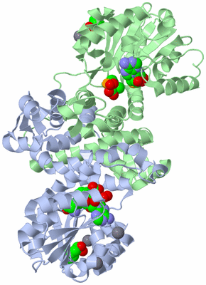 Image Asym./Biol. Unit