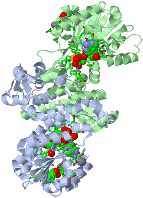 Image Asym./Biol. Unit - sites