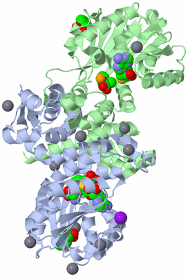 Image Asym./Biol. Unit