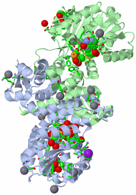 Image Asym./Biol. Unit - sites