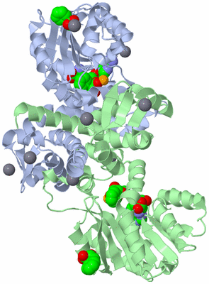 Image Asym./Biol. Unit