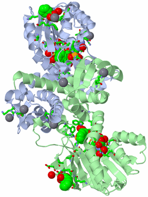 Image Asym./Biol. Unit - sites