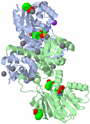 Image Asym./Biol. Unit