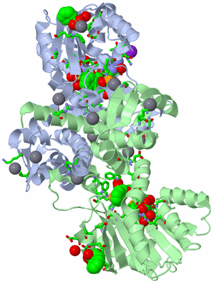 Image Asym./Biol. Unit - sites