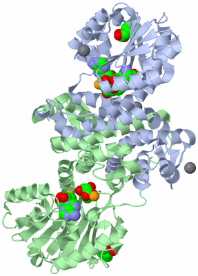 Image Asym./Biol. Unit