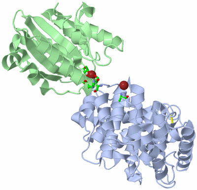 Image Asym./Biol. Unit - sites