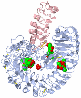 Image Biological Unit 1